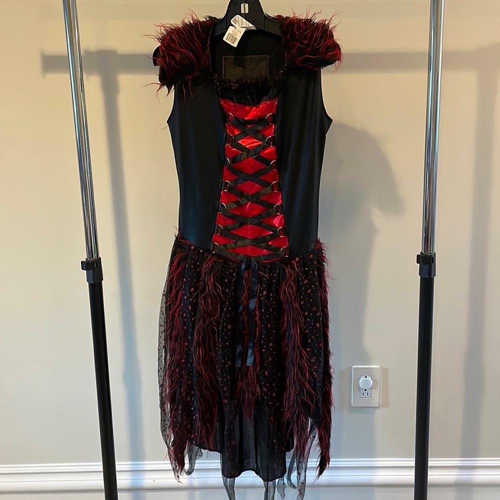 Halloween costume, Dress, 12-14